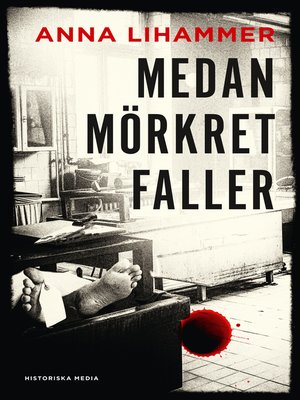 cover image of Medan mörkret faller